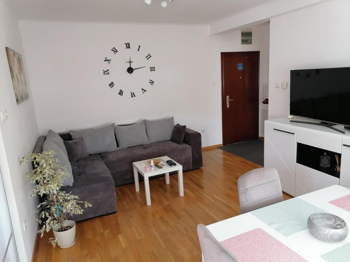 Paris Apartment -Free Private Parking 노비사드 외부 사진
