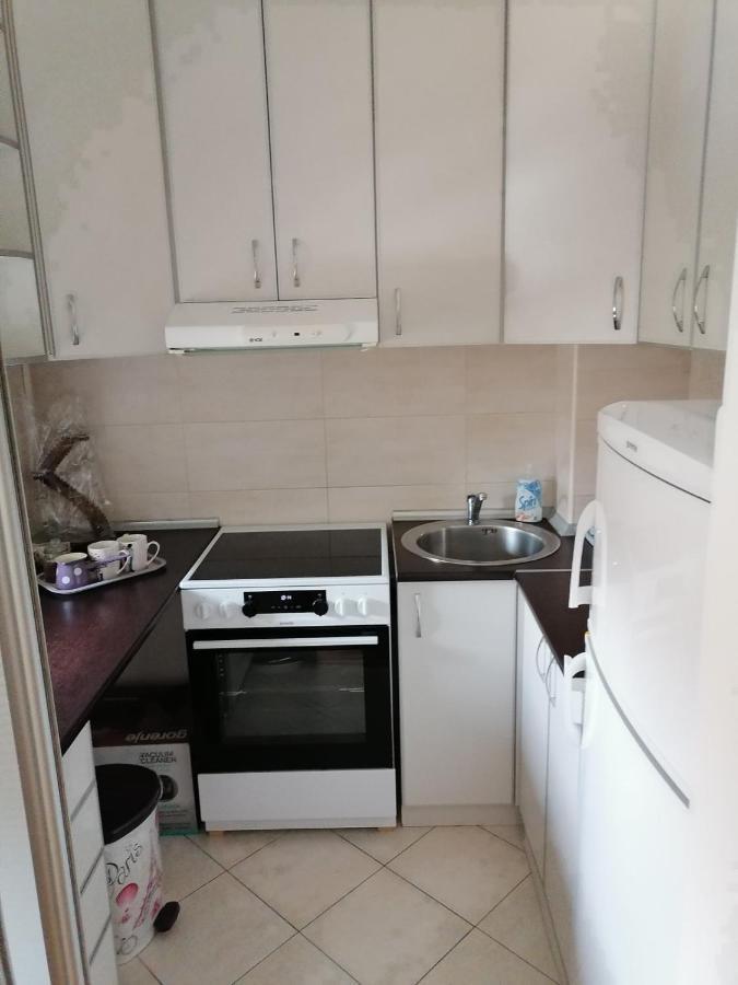 Paris Apartment -Free Private Parking 노비사드 외부 사진