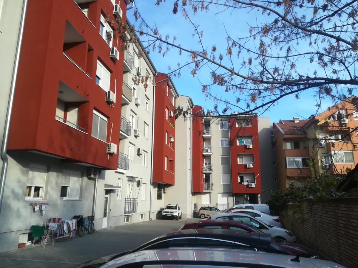 Paris Apartment -Free Private Parking 노비사드 외부 사진