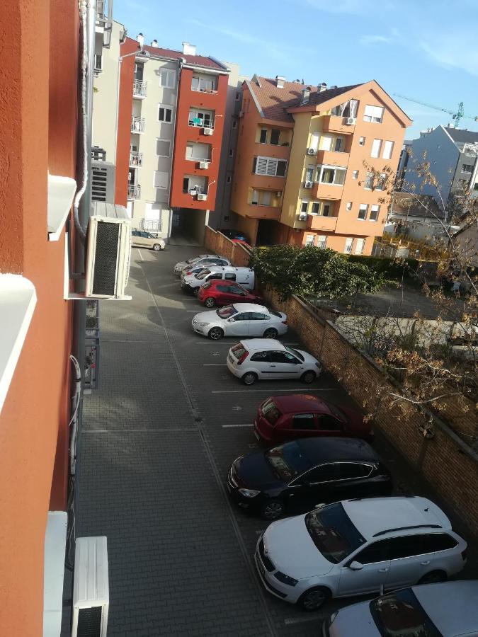Paris Apartment -Free Private Parking 노비사드 외부 사진